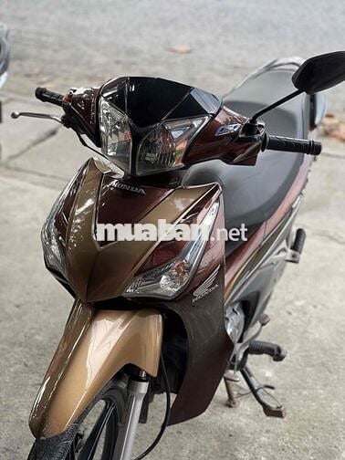 Bán future cá mập 2017