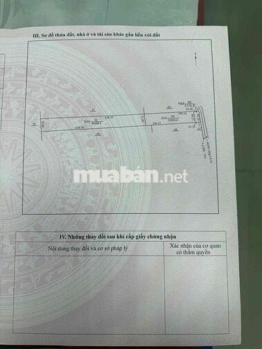 Bán đất rừng sản suất 7ha tại huyện U Minh chính chủ giá tốt