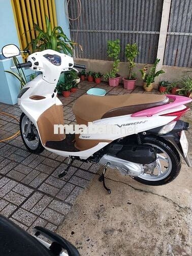 Vision, chính chủ