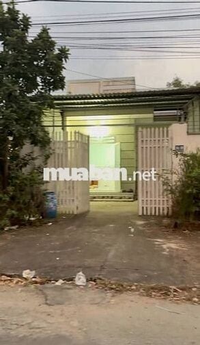 CHO THUÊ NHÀ CẤP 4  ĐẤT TRỐNG phía sau TỔNG DIỆN TÍCH 375m²