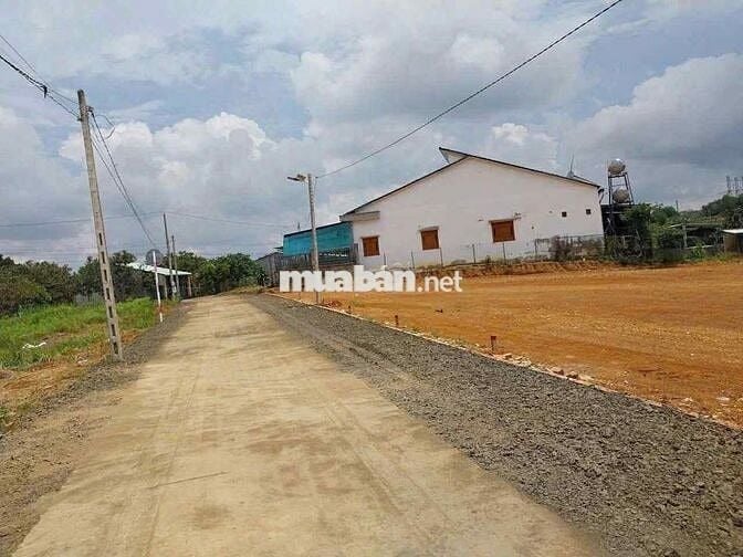 📣 BÁN ĐẤT LỘC KHÁNH, LỘC NINH 1042M² – GIÁ CHỈ 485 TRIỆU