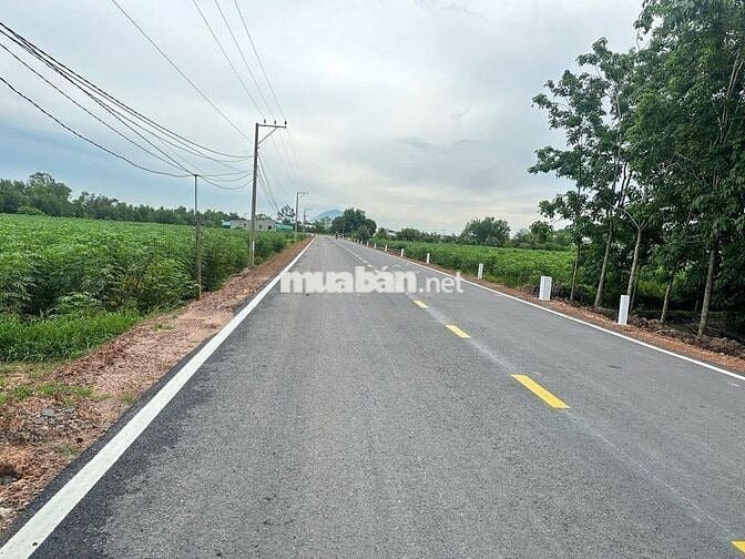 CHÍNH CHỦ BÁN 2 LÔ ĐẤT SẴN SỔ MẶT TIỀN 12M TRUNG TÂM LONG CHỮ-BẾN CẦU