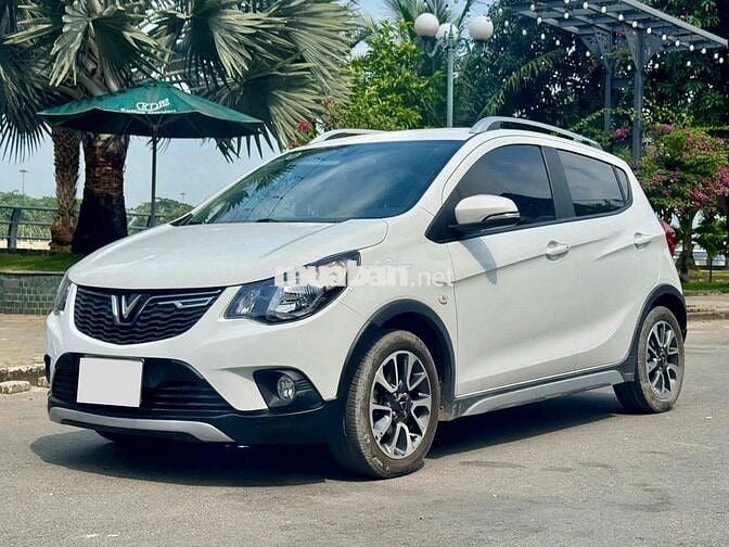 Fadil Plus 21 - Giá 3x nhô