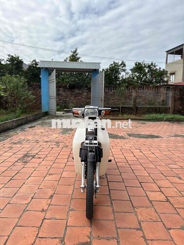 thua game cần ra đi cứu chủ