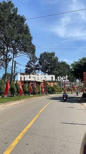 Đất mặt tiền đường DH504 Phú Giáo Bình dương giá 870tr /1004m TC100m