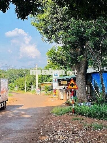 Chủ Ngộp Cần Sang Lô Đất Ở DH519