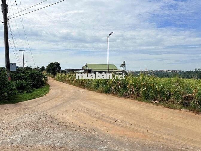 Em bán lô đất tại View dốc 800 - Đinh Văn, Lâm Đồng