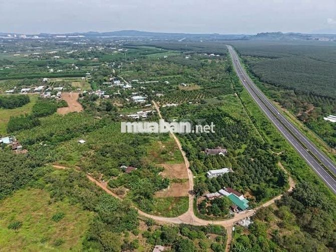 Bán đất vườn sẵn thổ cư 258m2, trong đó có hơn 100m2 thổ cư tại Cẩm Mỹ