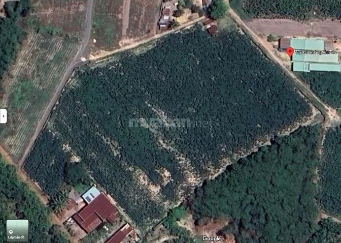 Bán trang trại khu nghỉ dưỡng tại Cầu Khởi, Dương Minh Châu, Tây Ninh,