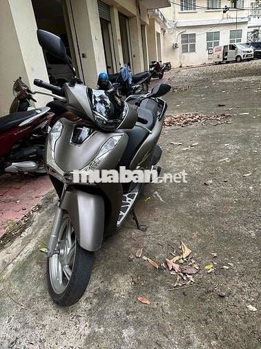 Sh 125 biển thành phố