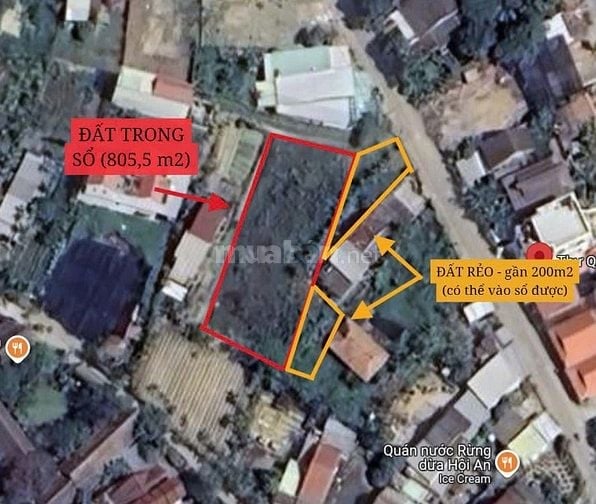 BÁN ĐẤT TRUNG TÂM RỪNG DỪA BẢY MẪU – CẨM THANH, HỘI AN