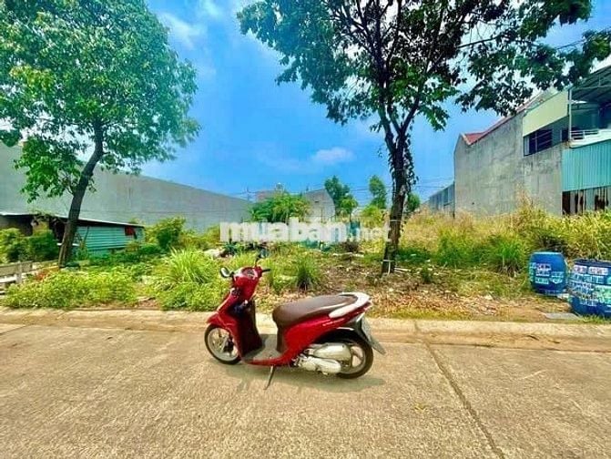 Bán Nhanh Lô Đất 300m² Bến Cát – Giá 780 Triệu – SHR