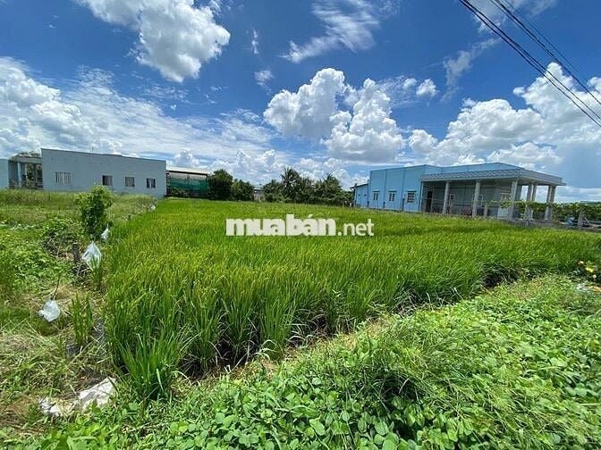 đất Thổ cư cho anh em cần phân lô bán nền