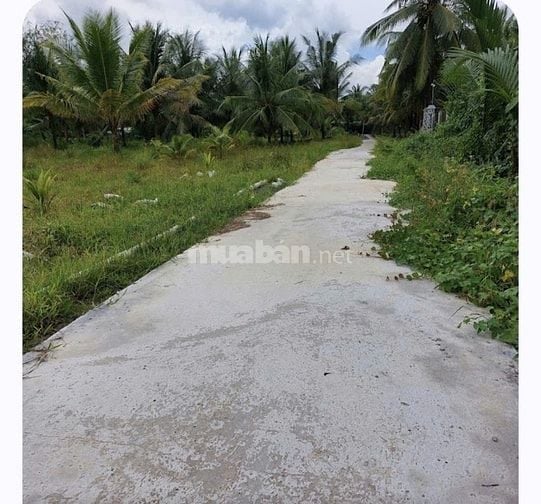 Đất bán sổ sẵn điện nước tận nơi. Dt 514m giá 370tr Xã Phước Mỹ Trung 