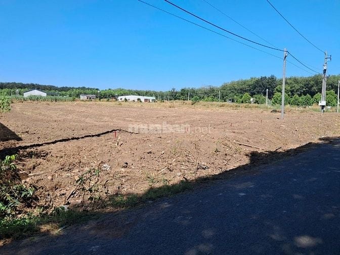 Lô đất ngộp 1550m2, thổ cư, ngay chợ Minh Lập, chỉ 1,1 tỉ