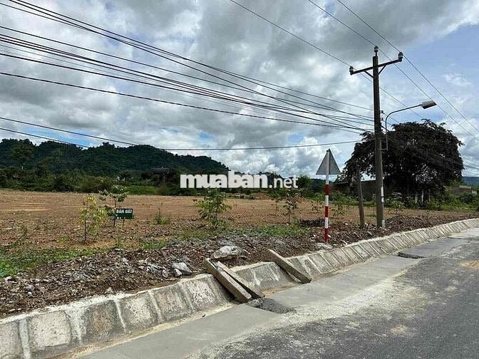 Đất nền vi trí đẹp. thuận lợi cho xây nhà máy, thuê kho trữ sầu riêng