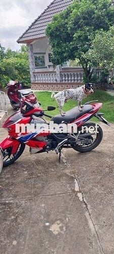 Không đi nên bán