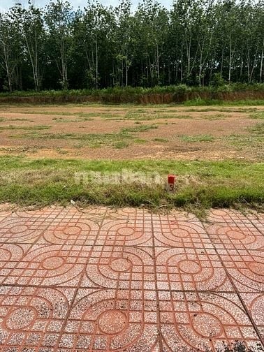 Bán đất tại Đồng Tiến - Bình Phước lô A1, 400 triệu, 230 m2, pháp lý đ