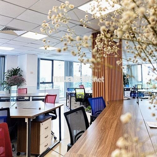 Nguyễn Phong Sắc 70m2 cắt lỗ cực sâu 18tr, mặt tiền 9m, 2 oto tránh