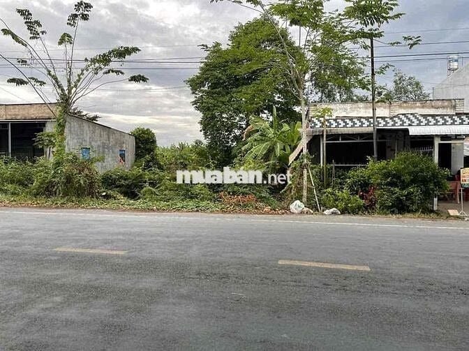 CHÍNH CHỦ CẦN BÁN ĐẤT THỔ CƯ MẶT TIỀN TỈNH LỘ 944