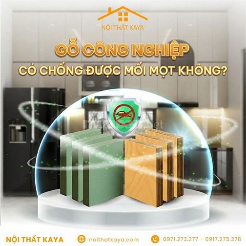 Các mẫu giường tầng công nghiệp