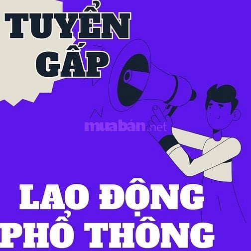 TUYỂN GẤP 3 BẢO VỆ TẠI QUẬN HỐC MÔN 