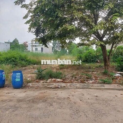 Cần Bán Nhanh 150m² MT DH612 Tân Hưng,  Bầu Bàng – Giá Tốt 590Tr