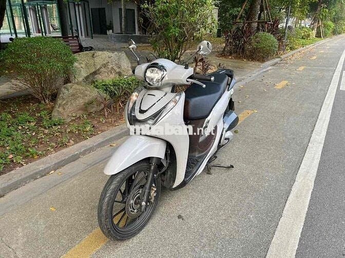 Bán xe máy giá tốt – Xe zin, máy êm, bao test thoả