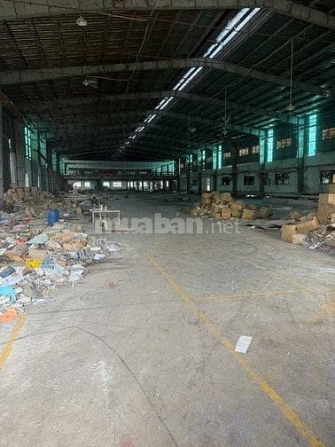 Cho thuê kho xưởng 19.000m2 , Trần Đại Nghĩa, Bình Chánh, PCCC tự động