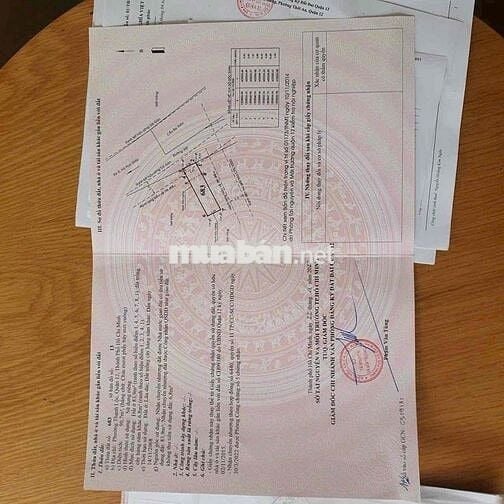 Đất Mặt tiền Sông Sài Gòn( đang làm đường nhựa 8m)