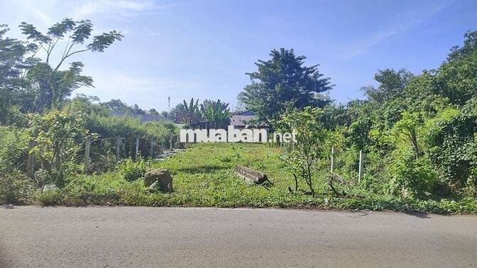 🚨KẸT TIỀN CẦN BÁN GẤP LÔ ĐẤT THỔ CƯ 165M2 NGAY SÁT QL22 CHỈ 450TR