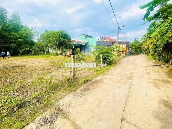 Đất Nền 196m² Trung Tâm Đại Hiệp – Giá Chỉ 9xx Triệu, Sổ Sẵn – Không N