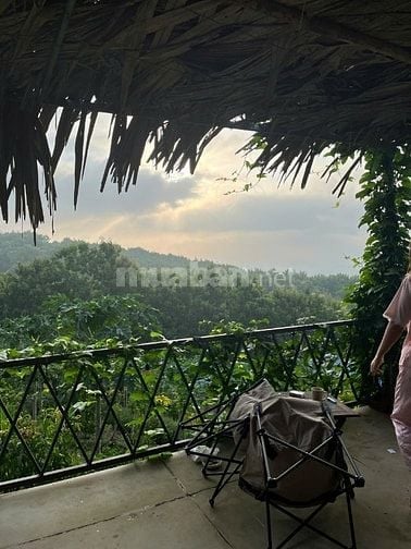 Sở hữu ngay đất đẹp gần Hồ Trị An – Giá chỉ từ 733 triệu