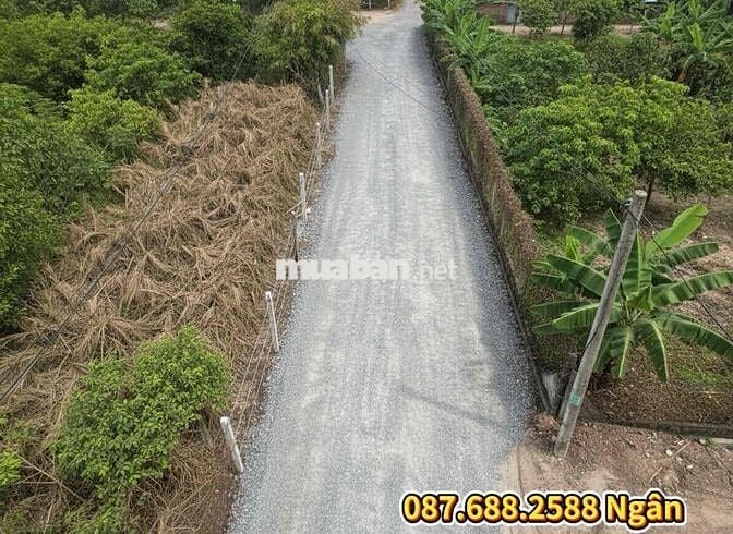 🍀Chủ gửi lô đất 6x26m thổ cư đường  🚗 tại Trung Lập chỉ 1ty2🍀