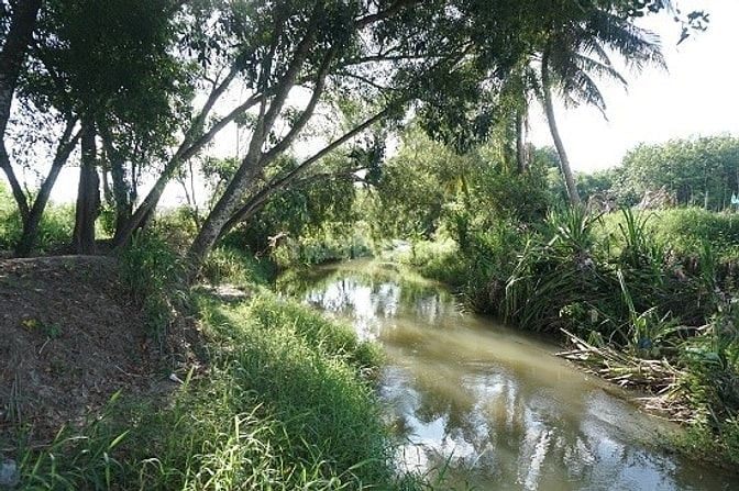 MỘT MẢNH ĐẤT MỚI TOANH GIÁP SUỐI - VIEW HỒ TRỊ AN - SẴN NHÀ CONTAINER 