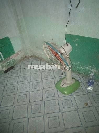 Cần tìm người ở ghép chung cho vui.