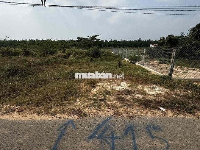 📍 BÁN ĐẤT ĐỊNH AN – DẦU TIẾNG Tìm chủ mới cho miếng đất cực đẹp, vị tr