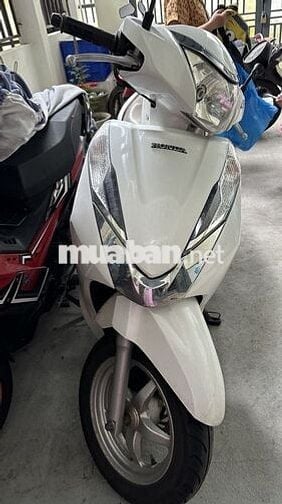 Honda Lead màu Trắng