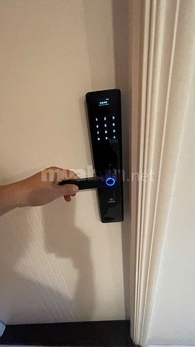 Cho thuê căn hộ, phòng thoáng mát, có ban công và cửa sổ ...