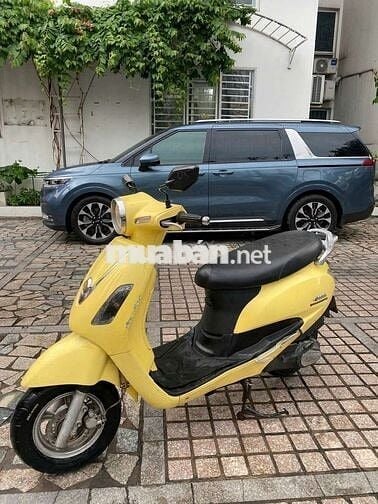 Xe alizabet giấy tờ đầy đủ