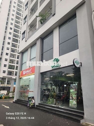 🧥Cho thuê sophosk chung cư STL Mặt tiền kinh doanh