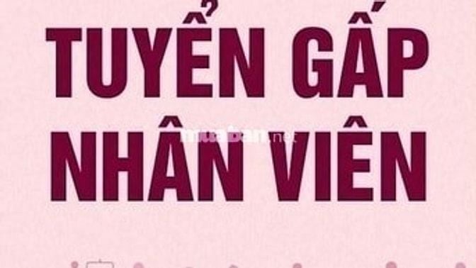 Công ty TNHH Ngọc Tuyển 2 nam nhân viên giao hàng giờ hành chính