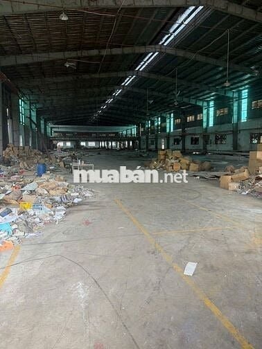 Cho thuê kho xưởng 19.000m2 ,Trần Đại Nghĩa, Bình Chánh ,PCCC tự động
