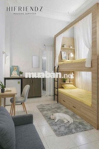 KHAI TRƯƠNG SIÊU PHẨM STUDIO GIƯỜNG TẦNG GẦN ĐHYD Q5