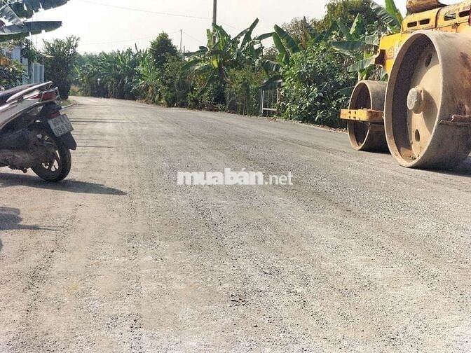 Loaloa rẻ nhất bạch đằng 3,6t/m2 có tới 30m mặt tiền nhựa lớn nhanh ạ