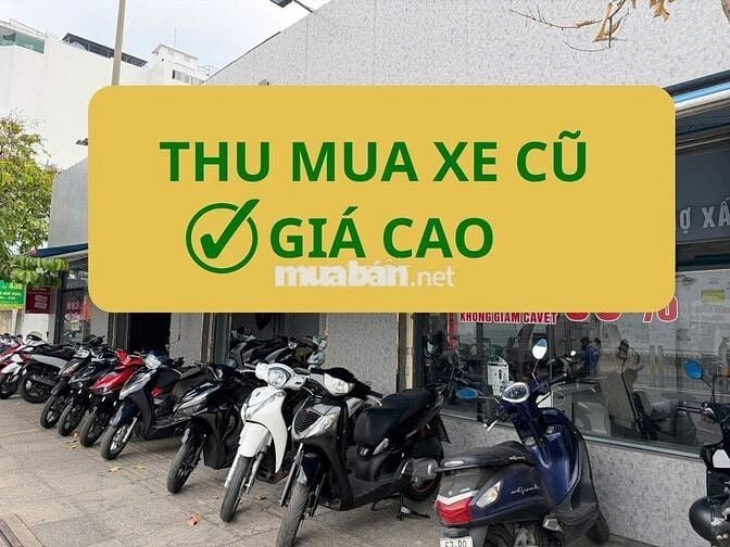 THU MUA XE CŨ GIÁ CAO