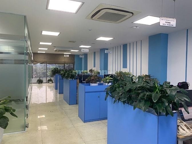 Cho thuê gấp 3 sàn văn phòng trong toà nhà 8 tầng