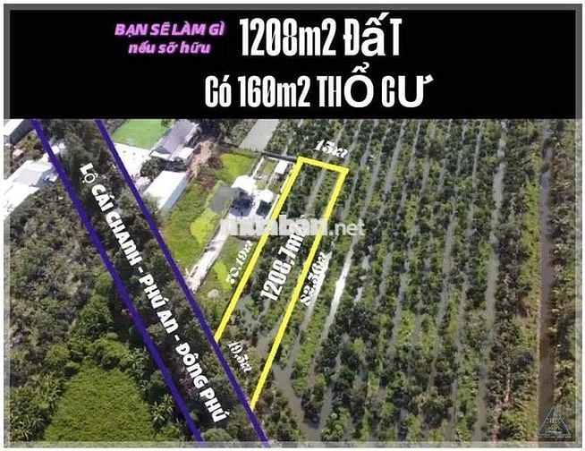 Bán đất mặt tiền 15m lộ Cái Chanh. Đón đầu khu nghỉ dưỡng MeKong