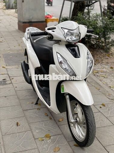 Vision 2021 Trắng biển tỉnh