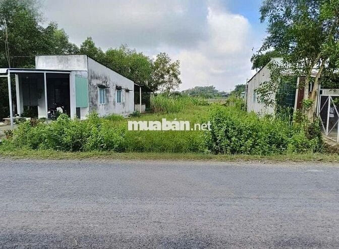 Đất mặt tiền Full thổ cư 264m2 xã Phước Hiệp Củ Chi Bán Gấp Giá 560Tr